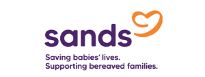 sands_jumpstartstudioos_client